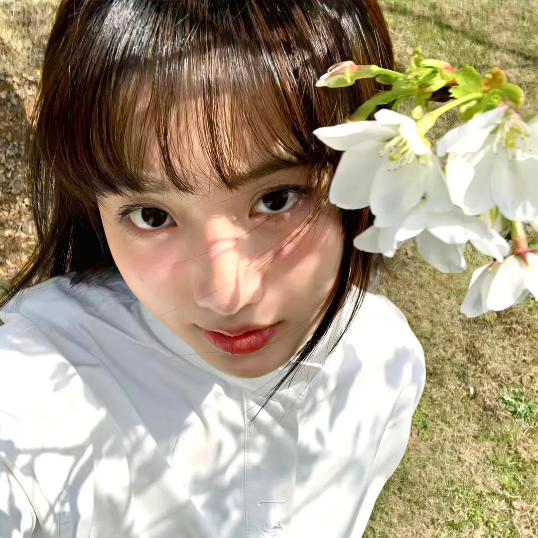 蓬门玉女金龟婿